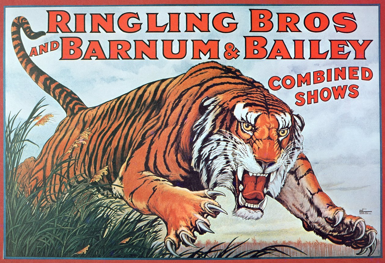 Affisch som annonserar "Ringling Bros. och Barnum & Bailey Combined Shows" av American School