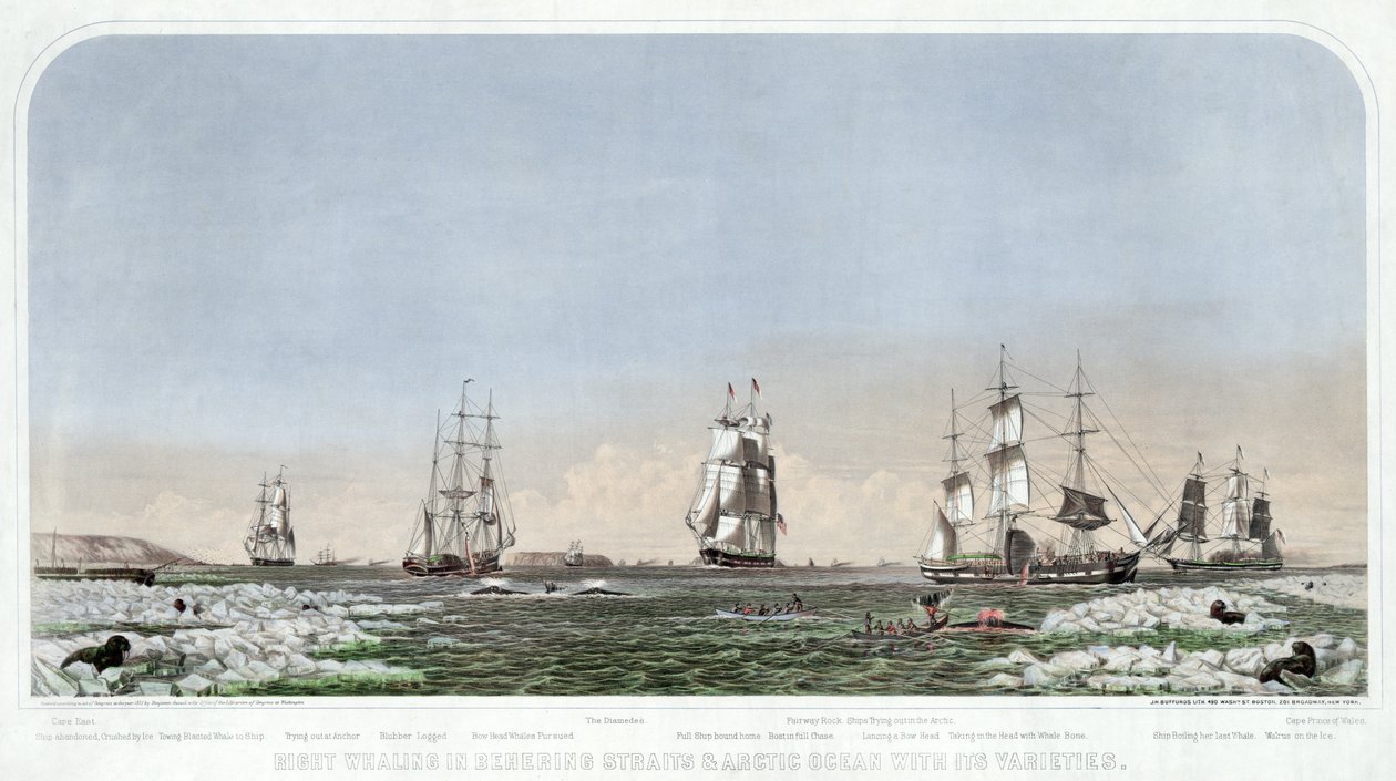 Right Whaling i Behering Straits & Ishavet med dess varianter, pub. 1871. av American School