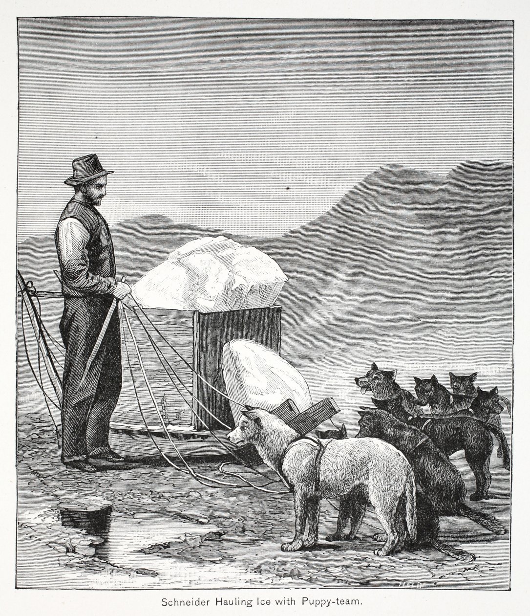 Schneider drar is med valplaget, pub. London 1886 av American School