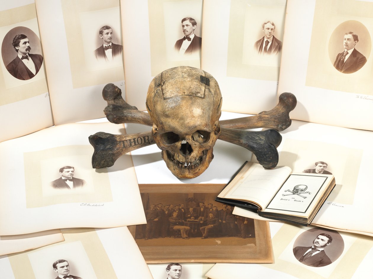 Skull-and-Bones valurna av American School