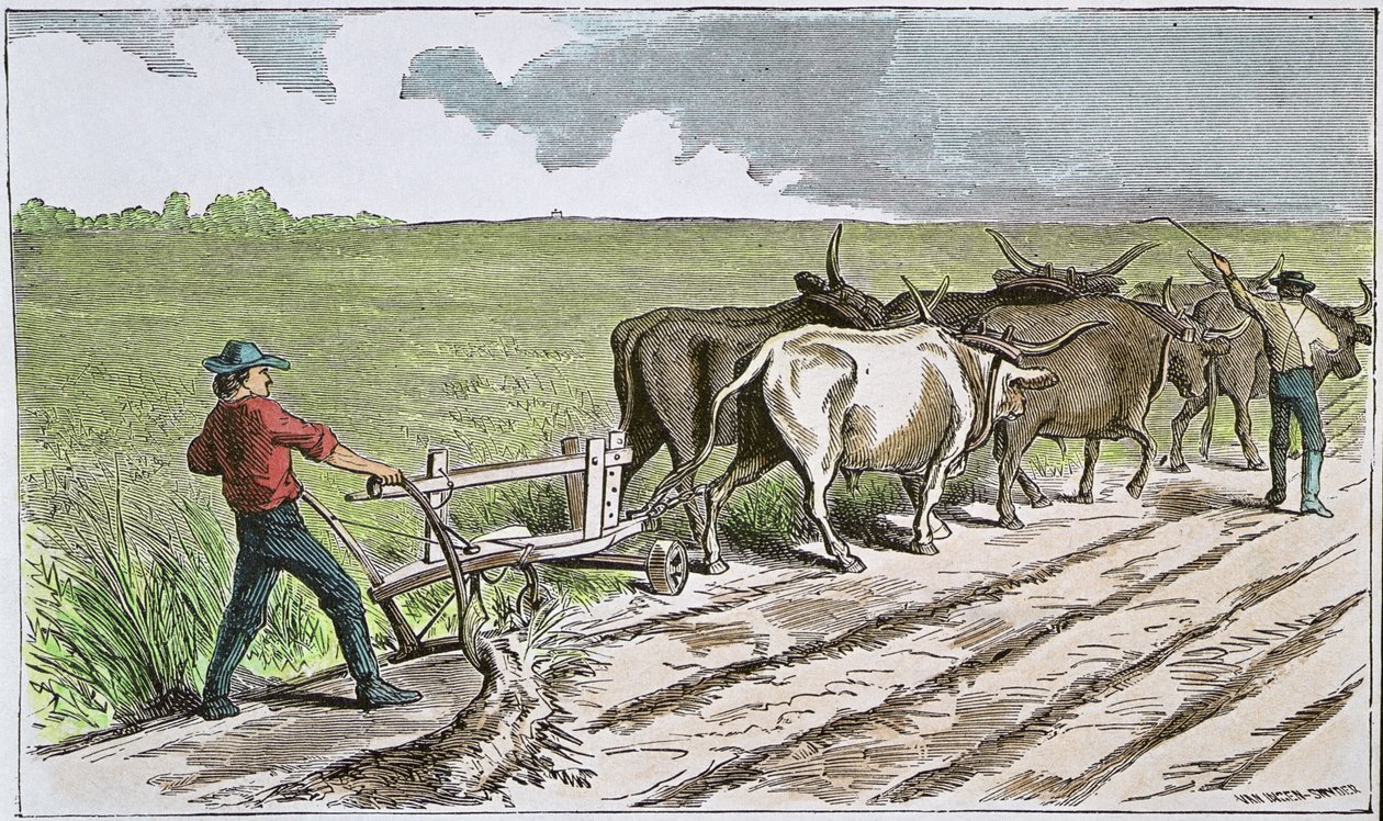 Sodbusters of the American West, c.1880 (färgad gravyr) av American School
