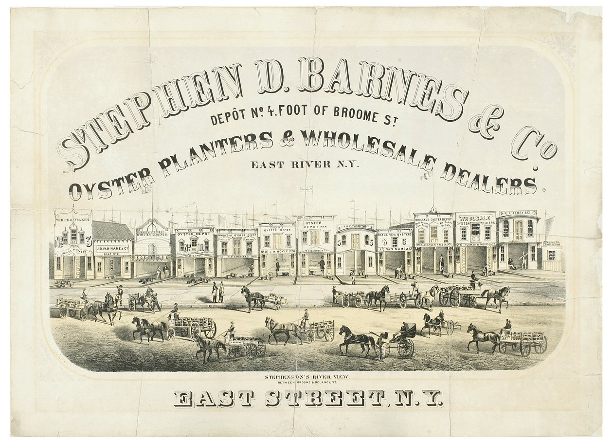Stephen D. Barnes & Co. Oysterplanterare och grossister, depånr. 4 fot från Broome Street av American School