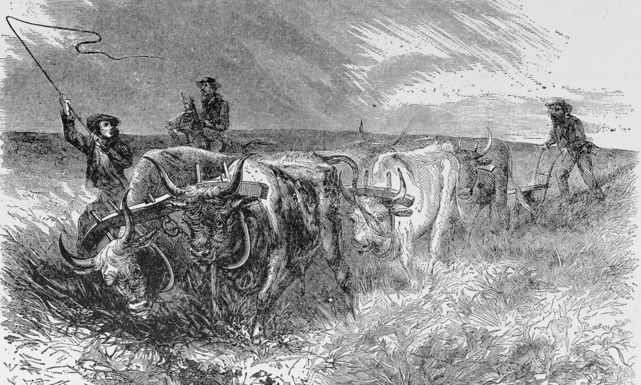 The Prairie Sod Plow, ata mai le 