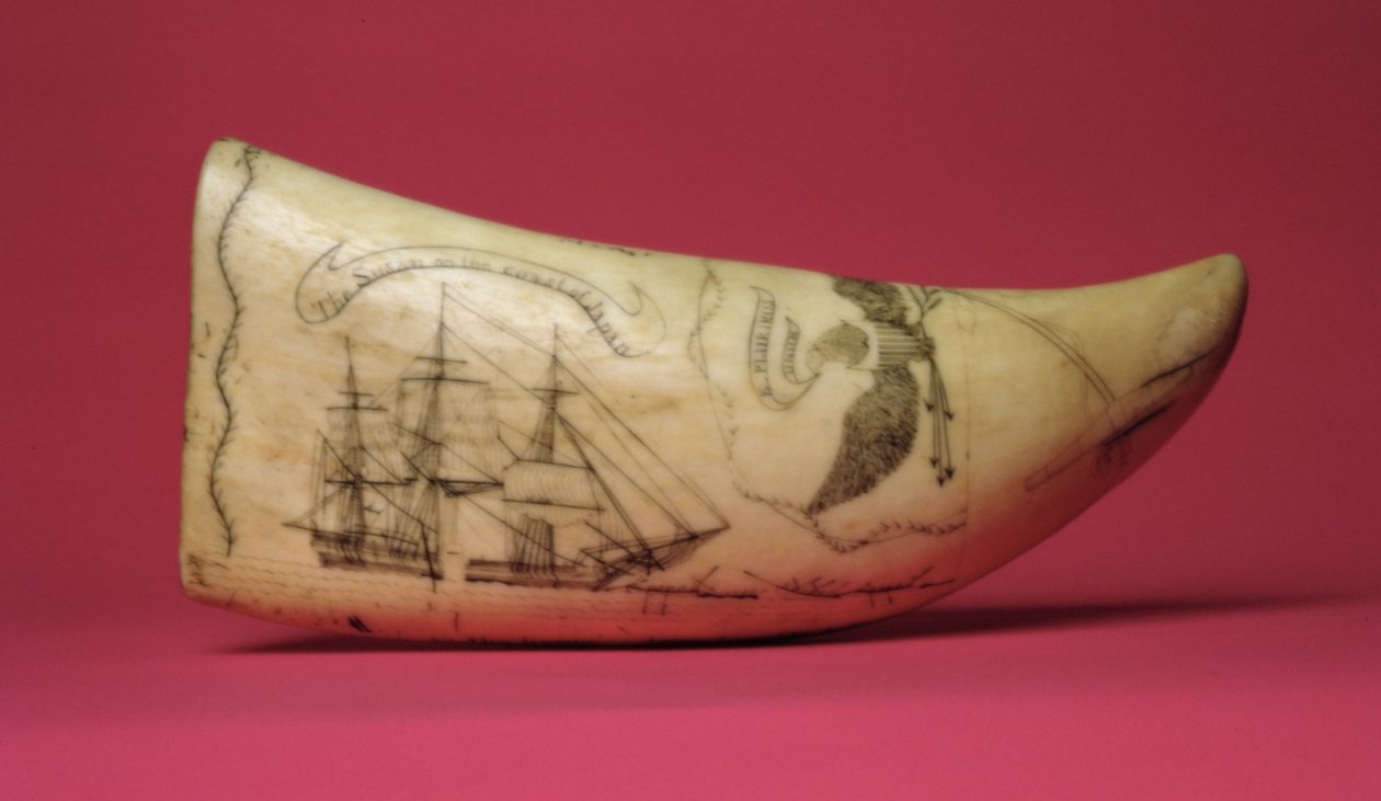 Susan på den japanska kusten Scrimshaw (tand) av American School