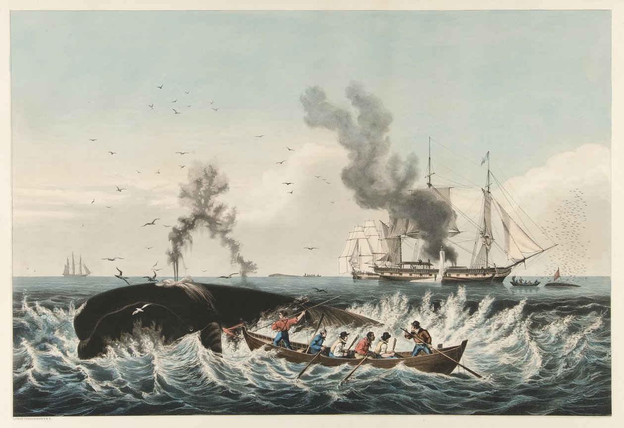 The Whale Fishery - Att attackera en "rätt" val och "cutting in", pub. 1860 (lito i färg) av American School