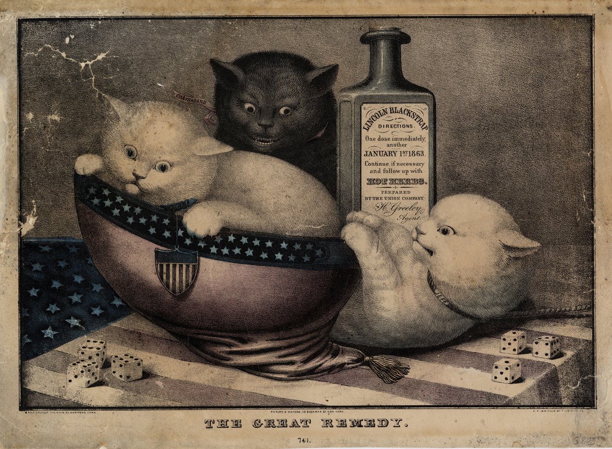 Det stora botemedlet, utgivet av E.B. och E.C. Kellogg, Hartford Ct., och Phelps och Watson, New York, och F.P. Whiting, New York, ca. 1863 av American School