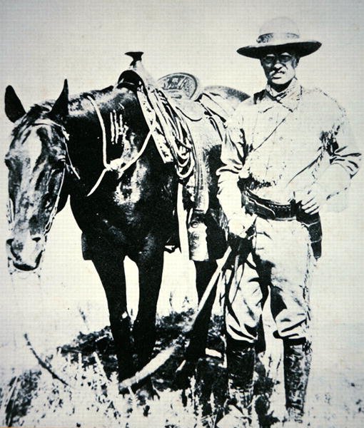 Theodore Roosevelt med sin häst, ca 1885 (litho) av American School