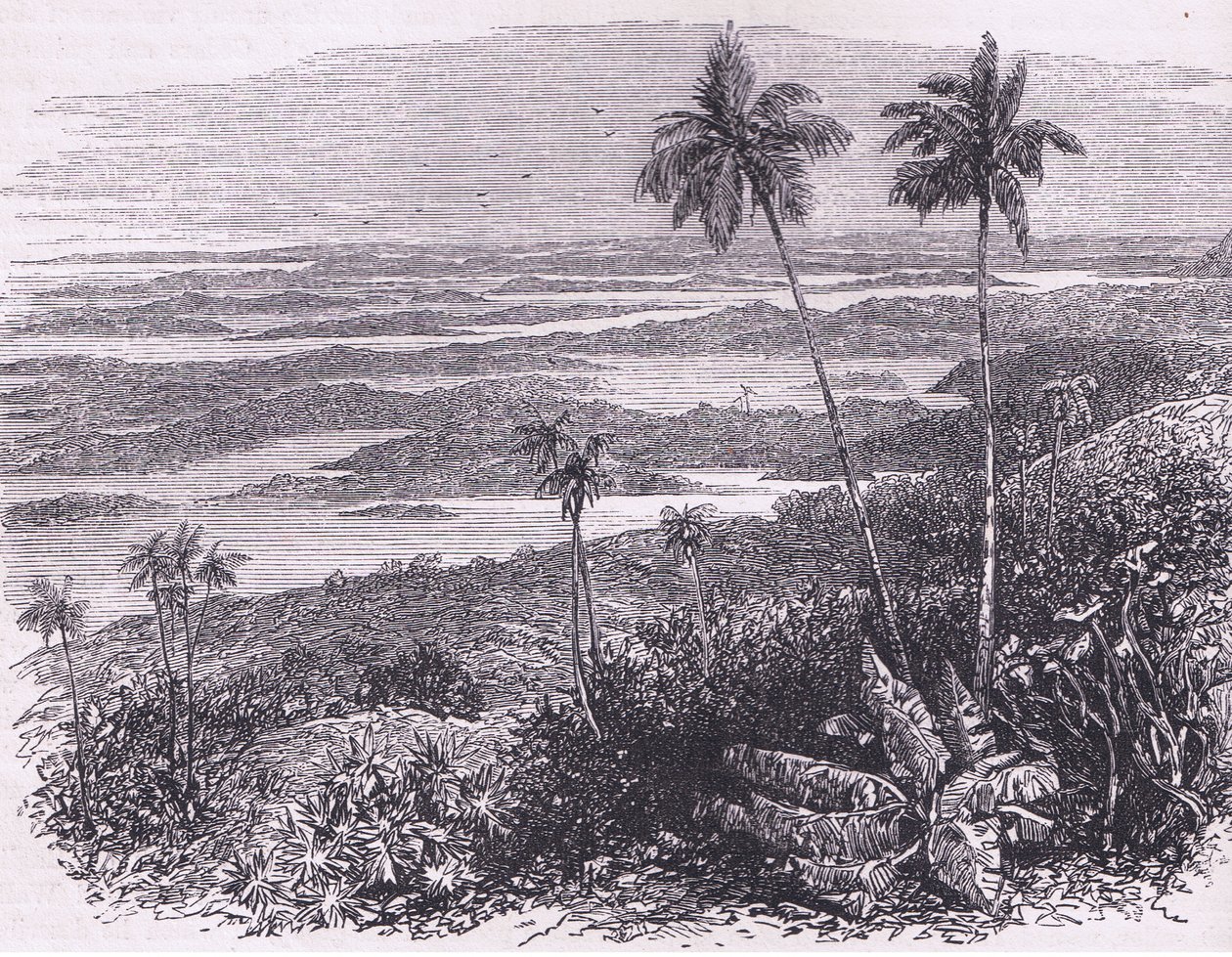 View of the Bermudas, illustration från Cassell