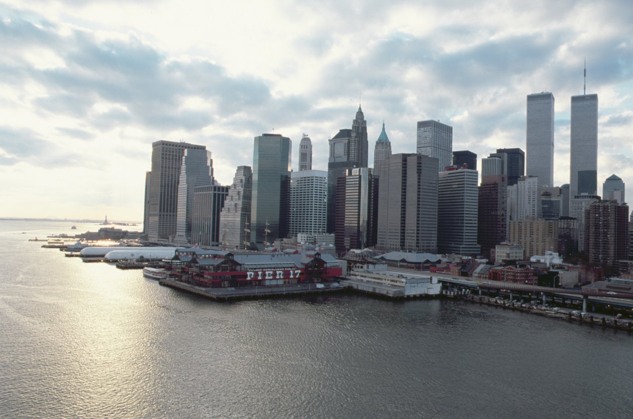 Utsikt mot finansdistriktet över East River av American School