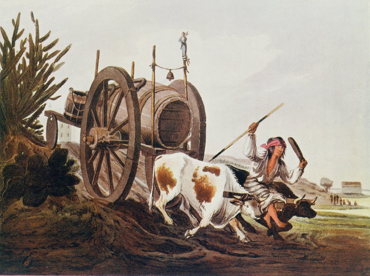 Vattenvagn, reproducerad från Vidals pittoreska illustrationer av Buenos Aires och Montevideo, pub. år 1820, från The Romance of the River Plate, Vol. I, av W. H. Koebel, 1914 av American School