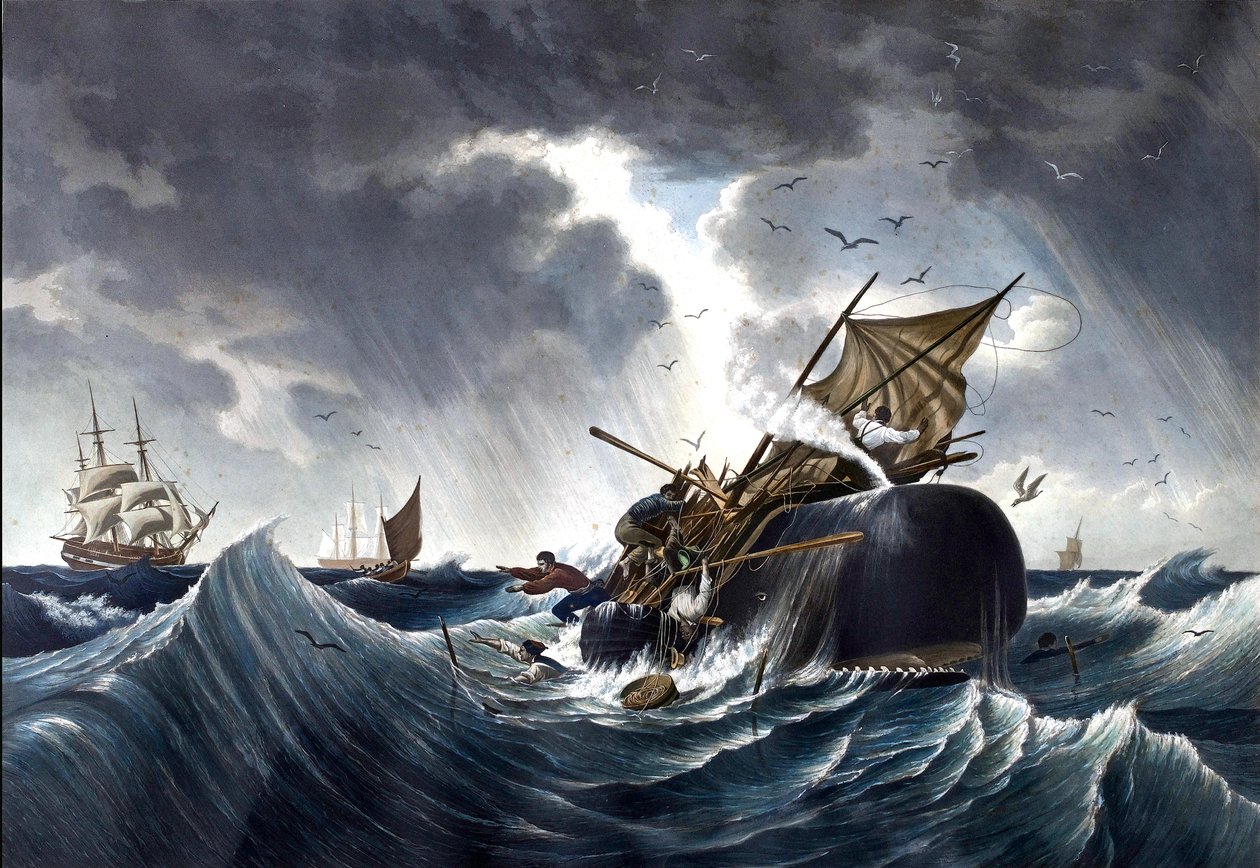 Whale Destroying Whaling Ship, ca 1875 (akvarell på papper) av American School