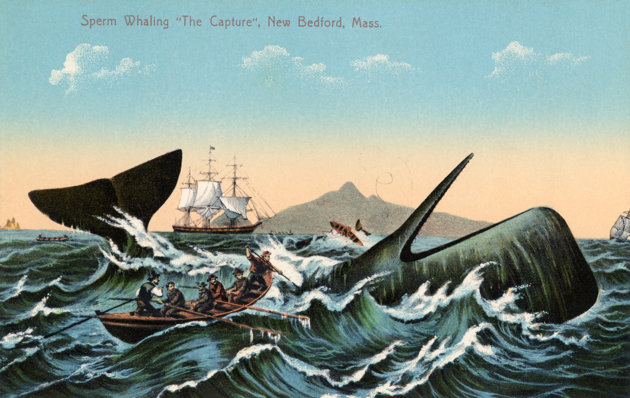 Valfångare som harpunerar en kaskelot utanför New Bedford, Massachusetts av American School