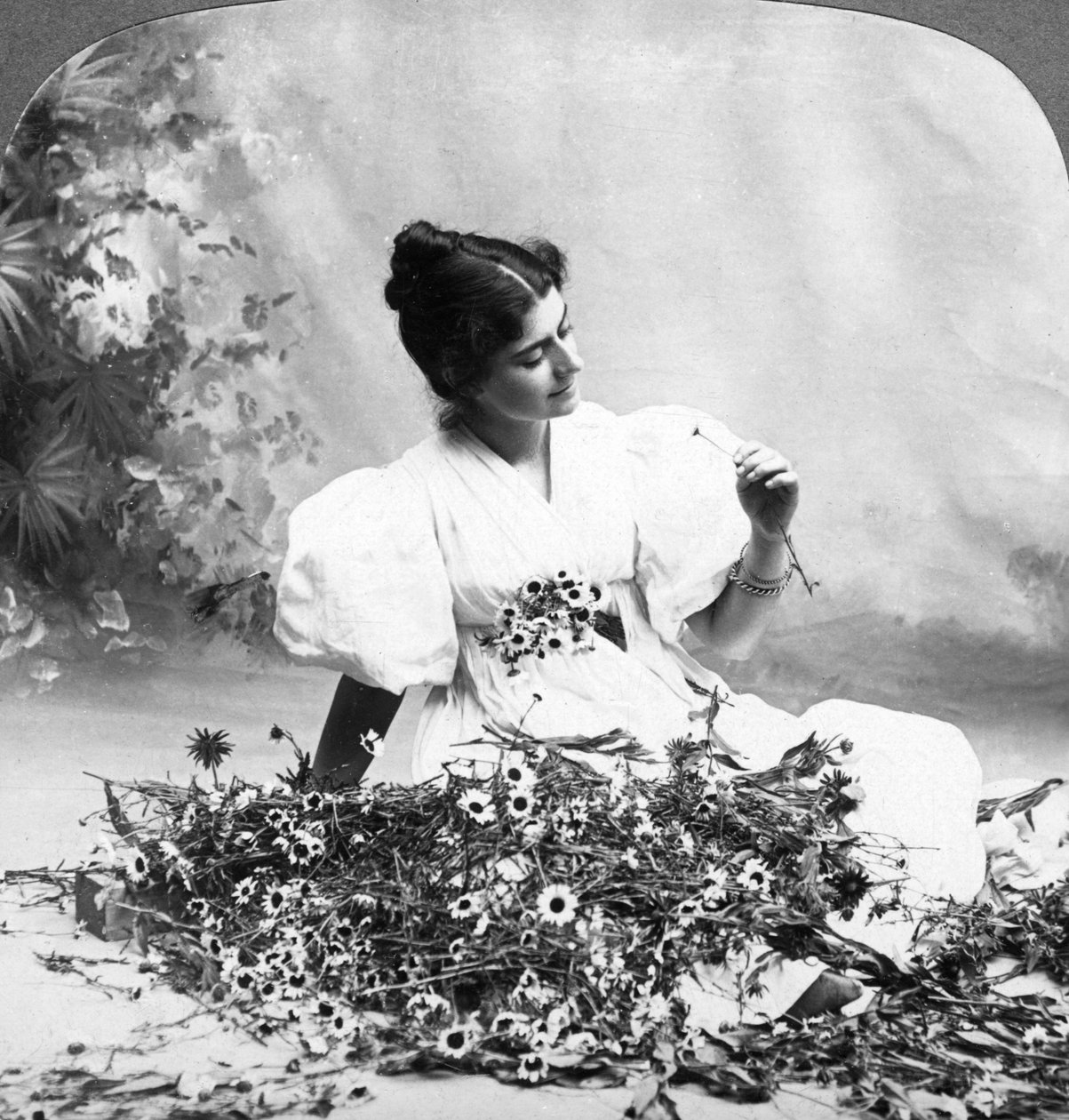 Berätta för mig att Daisy älskar han mig. av American Stereoscopic Company