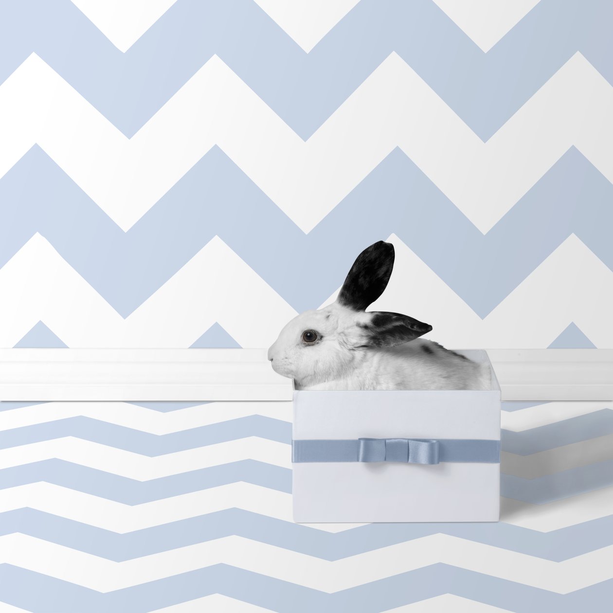 Bunnies 06, 2018 (fotografi) av Ana Carolina Tavares Mizrahi