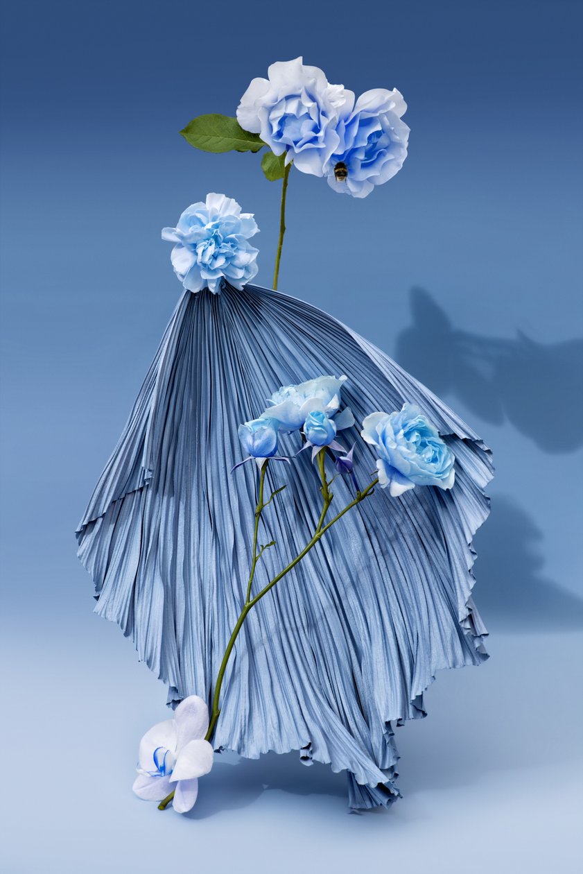 Ikebana 03, 2018 (fotografi) av Ana Carolina Tavares Mizrahi