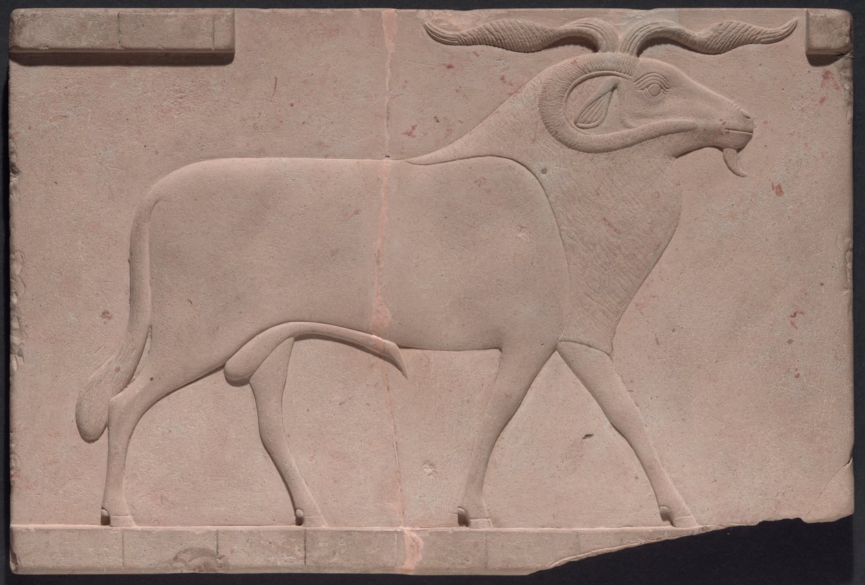 Plakett föreställande en bagge av Ancient Egyptian