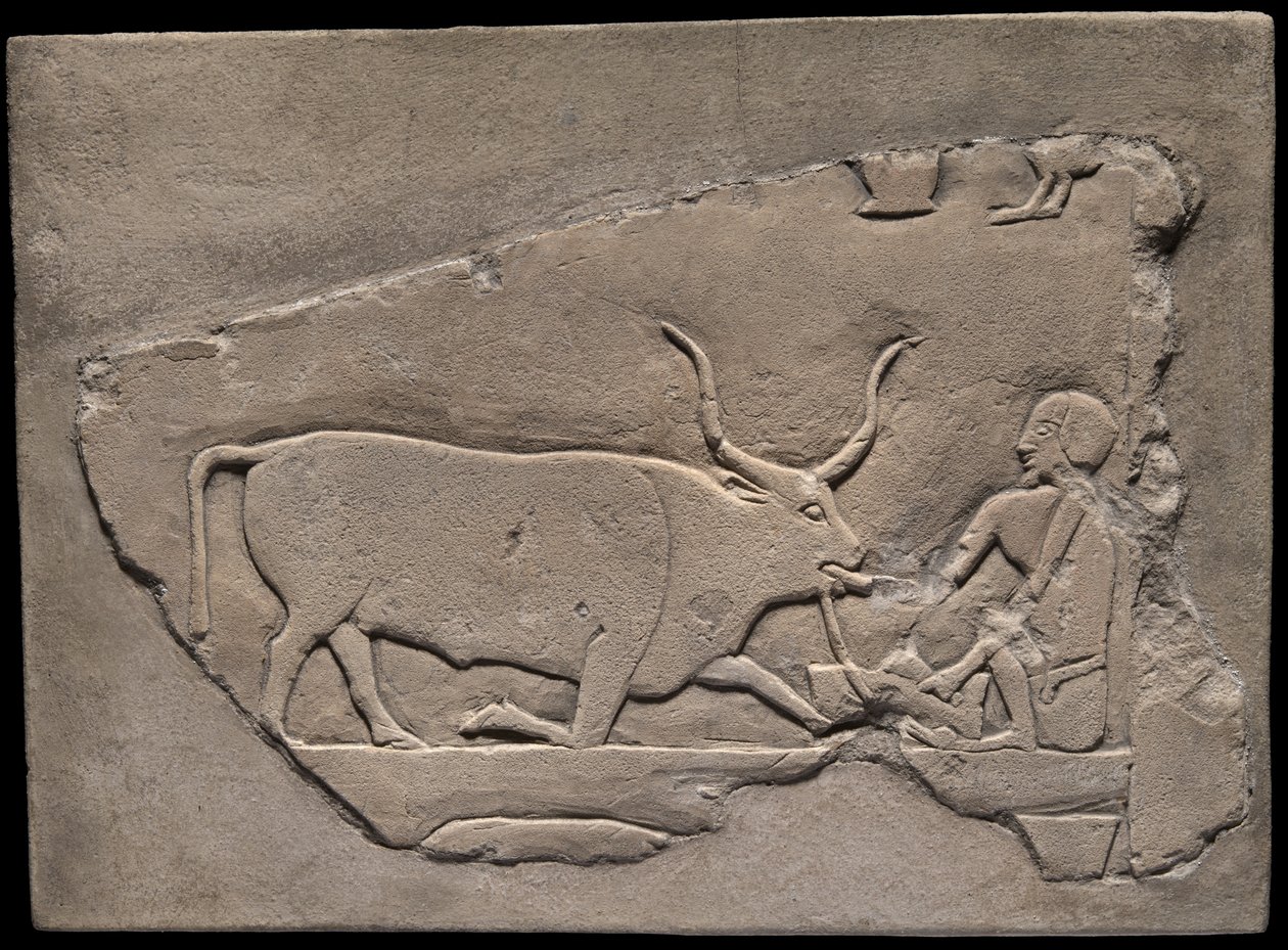 Väggfragment från en grav föreställande en boskapsskötare av Ancient Egyptian