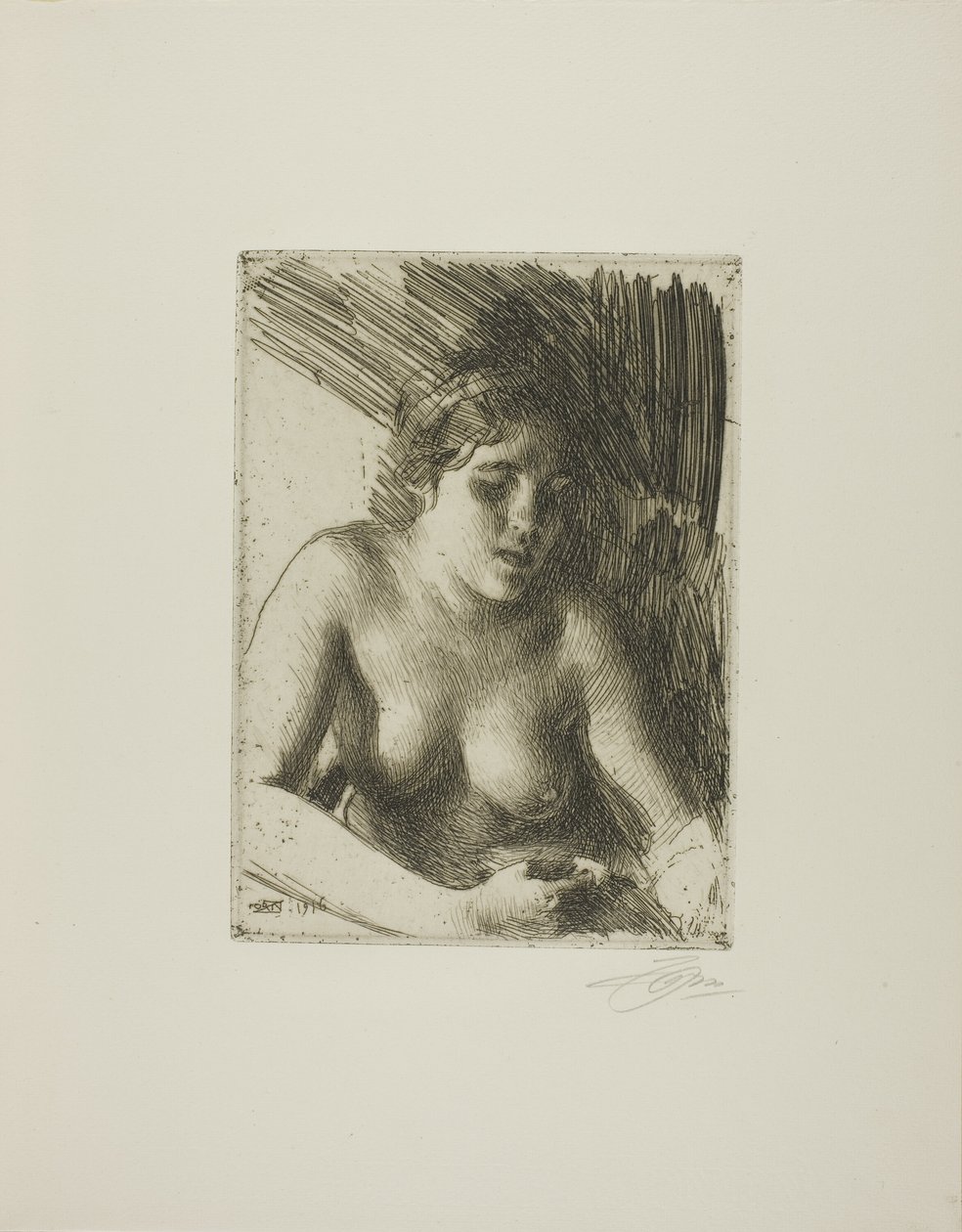 Sätta dit av Anders Leonard Zorn