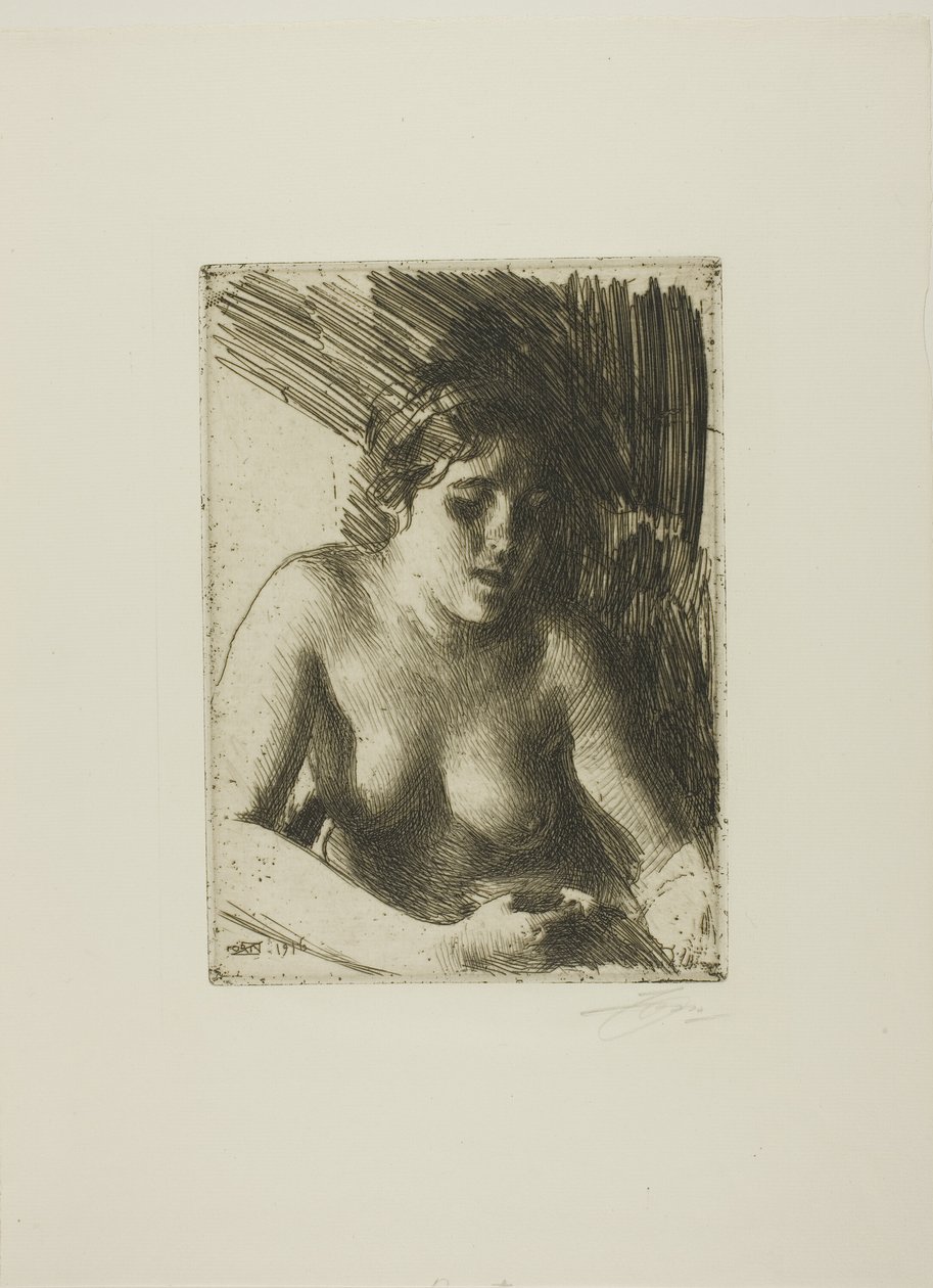 Sätta dit av Anders Leonard Zorn