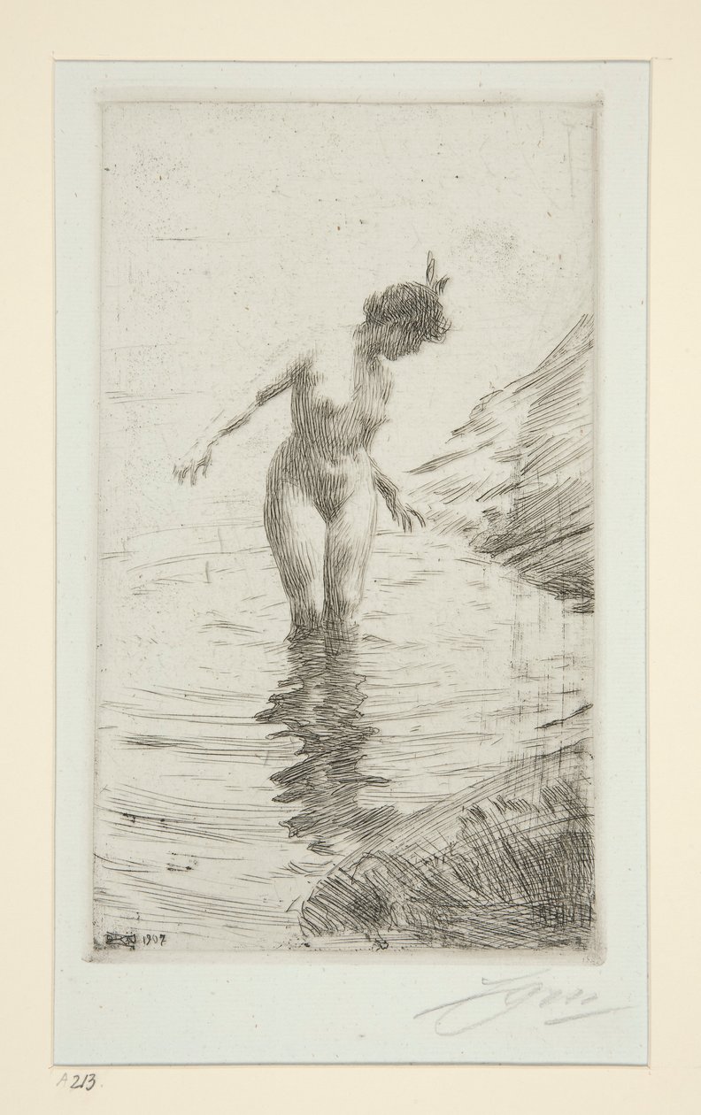 cirklar d av Anders Leonard Zorn