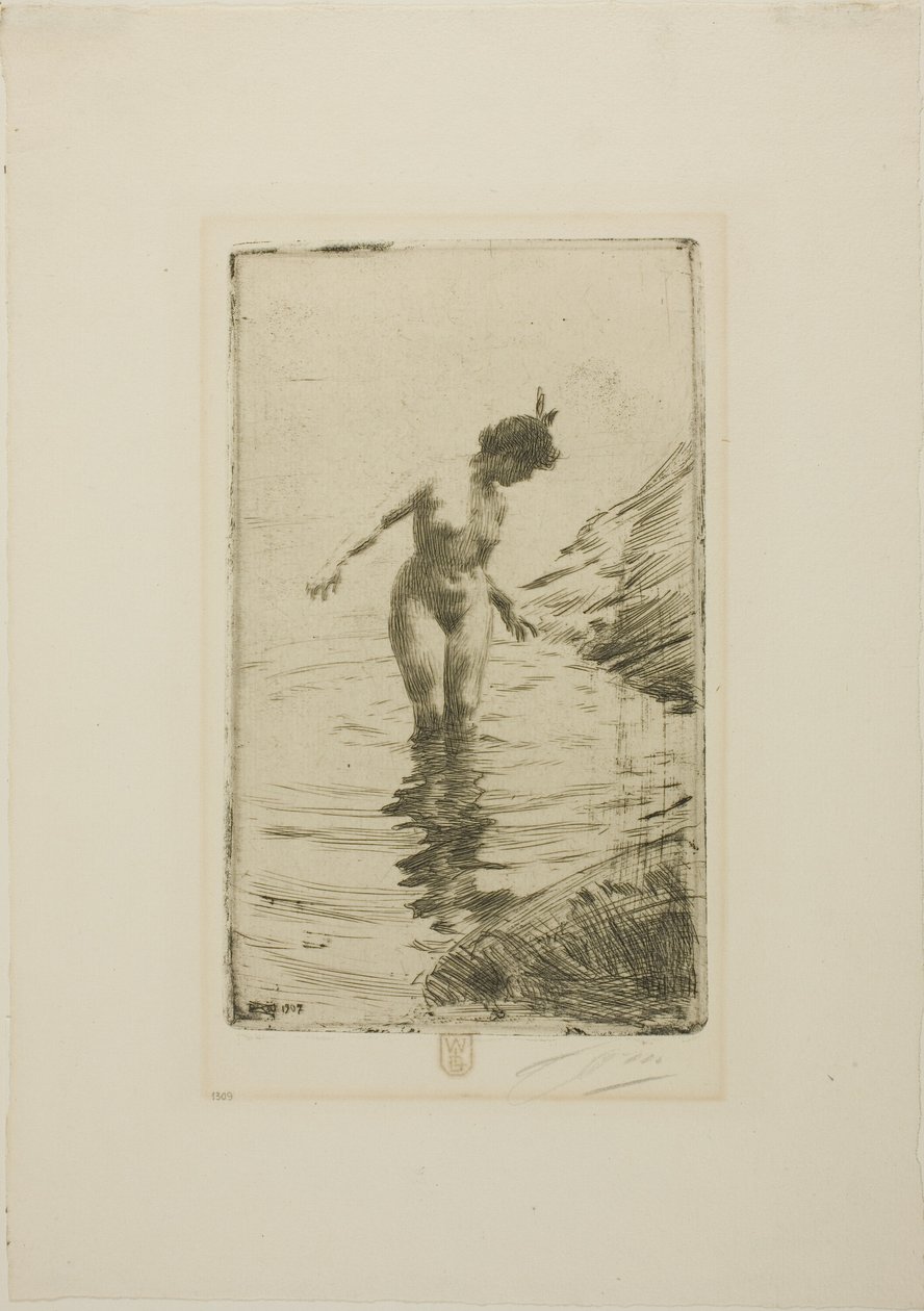 Cirklar av vatten II av Anders Zorn