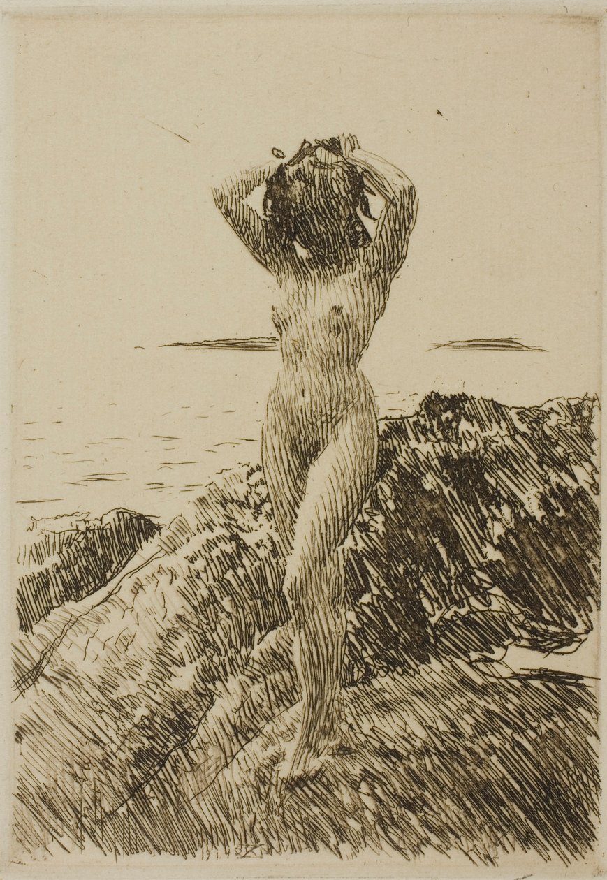 Hårtång (tångkrans) av Anders Zorn