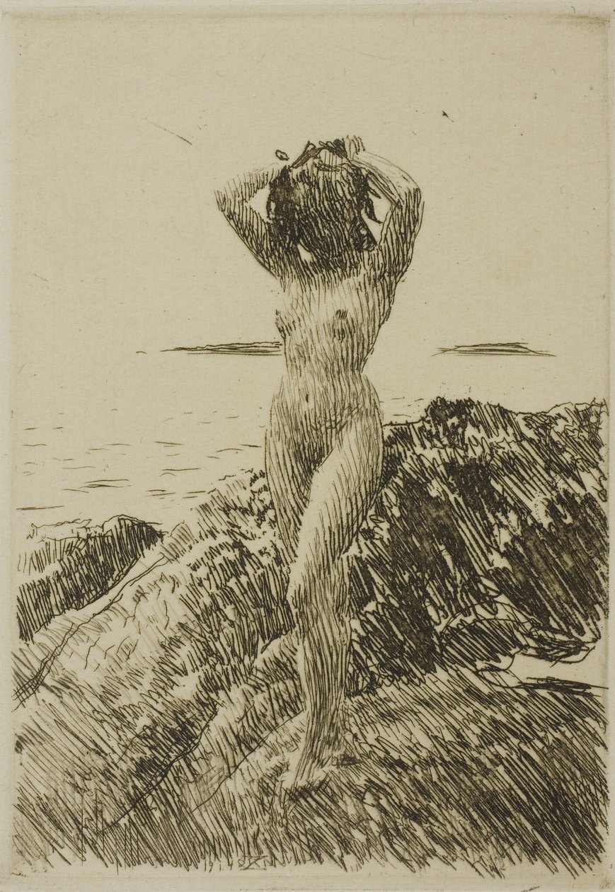 Hårtång (tångkrans) av Anders Leonard Zorn
