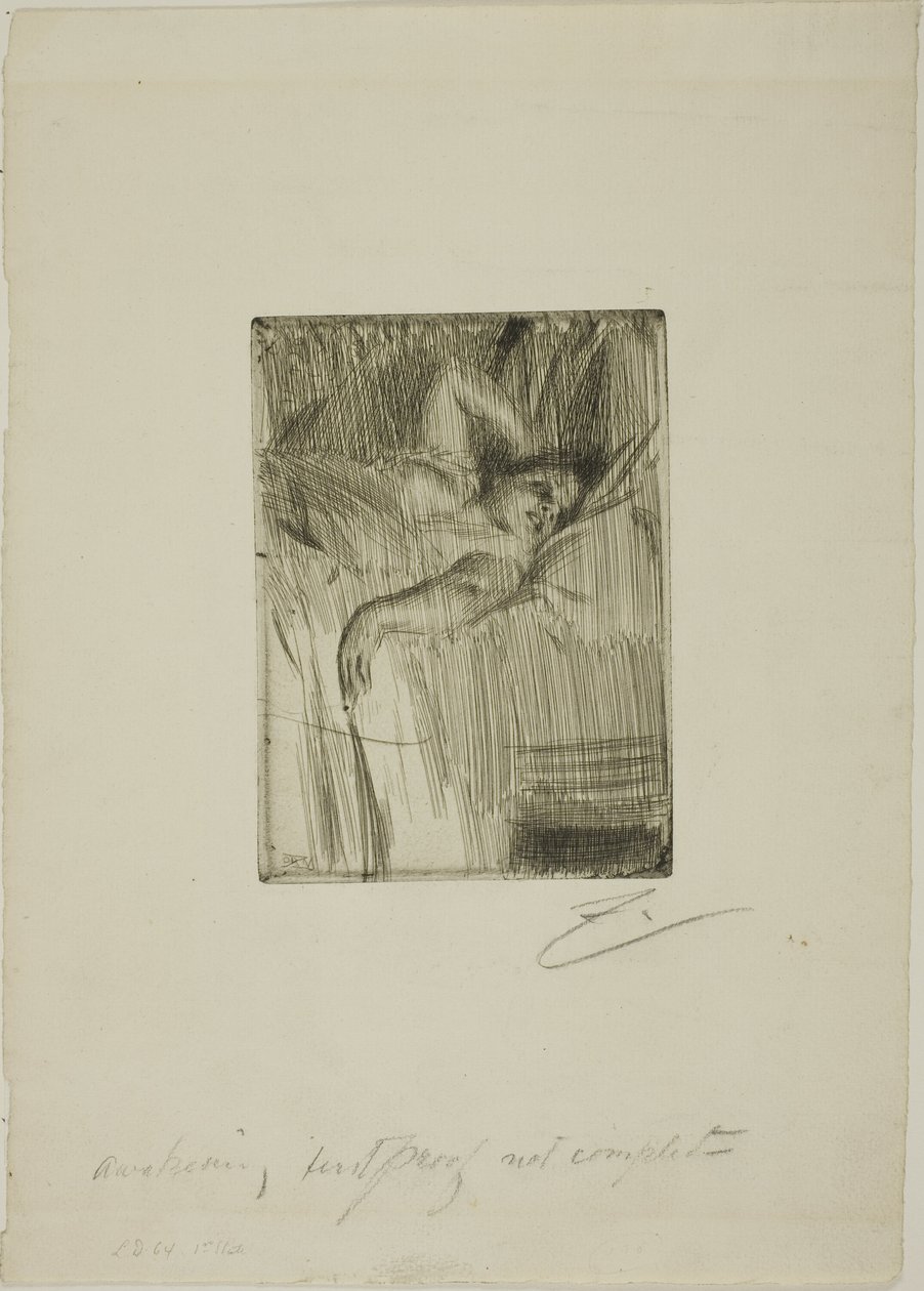 Alarmet av Anders Leonard Zorn