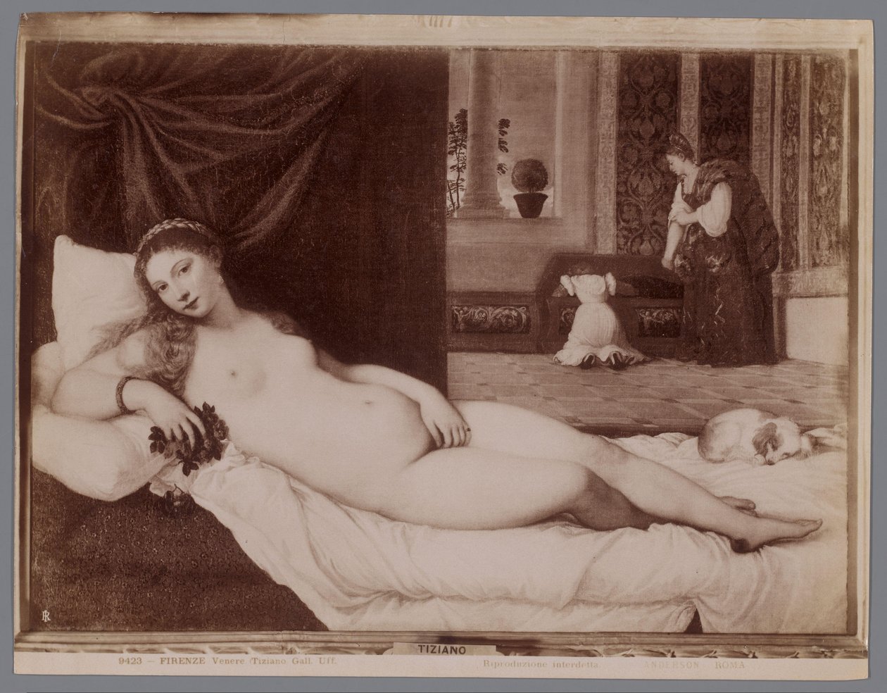 Fotoreproduktion av målningen Venus av Urbino av Titian Firenze, Venere (Tiziano Gall. Uff.) (titel på objekt) av Anderson (firma)
