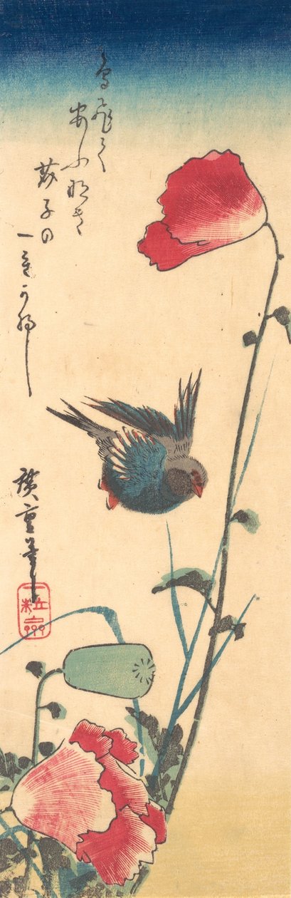 En blåfågel och vallmo, 1832-34., 1832-34. av Ando Hiroshige