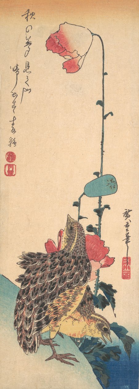 Ett par vaktlar och vallmo, ca. 1835., ca. 1835. av Ando Hiroshige