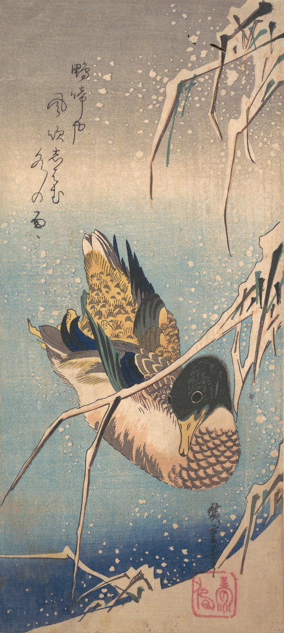 En vildand nära en snöladdad strand, ca. 1843., ca. 1843. av Ando Hiroshige