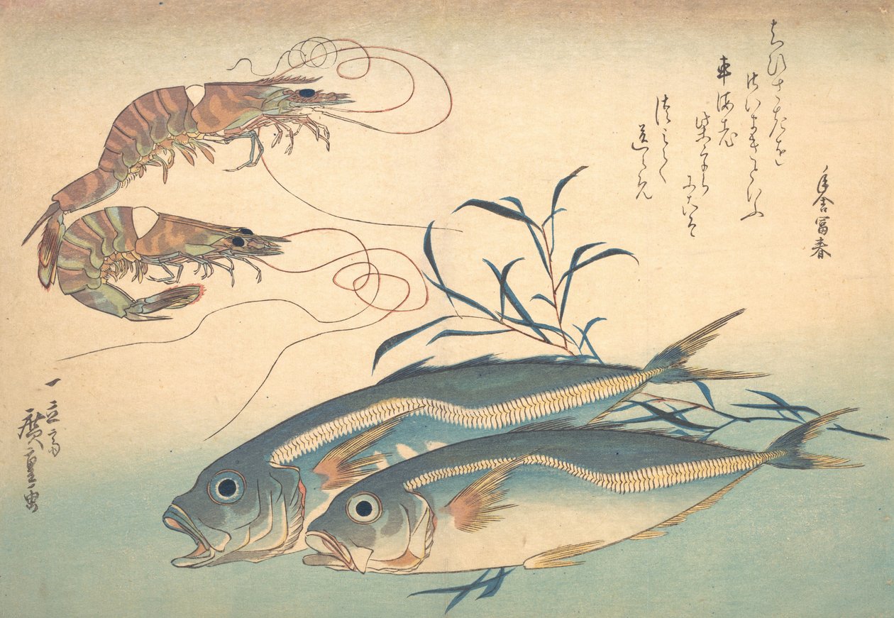 Aji Fish and Kuruma-ebi, från serien Uozukushi Every Variety of Fish, 1830-talet, 1830-talet. av Ando Hiroshige