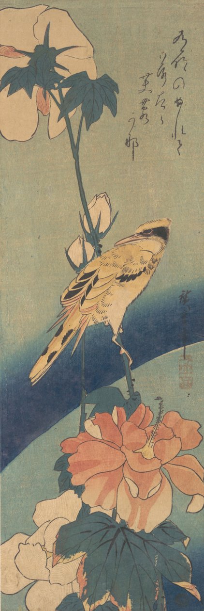 Svartnackad Oriole uppflugen på en stam av rosenmalva, ca. 1834., ca. 1834. av Ando Hiroshige