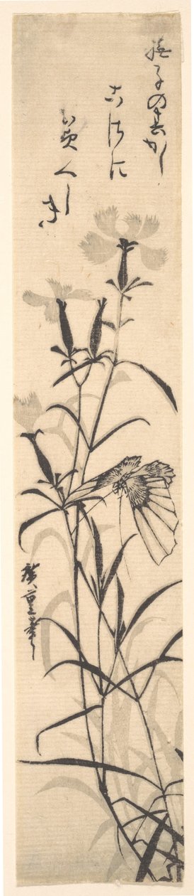 Svartvitt tryck av fjäril och blomma en rosa. av Ando Hiroshige