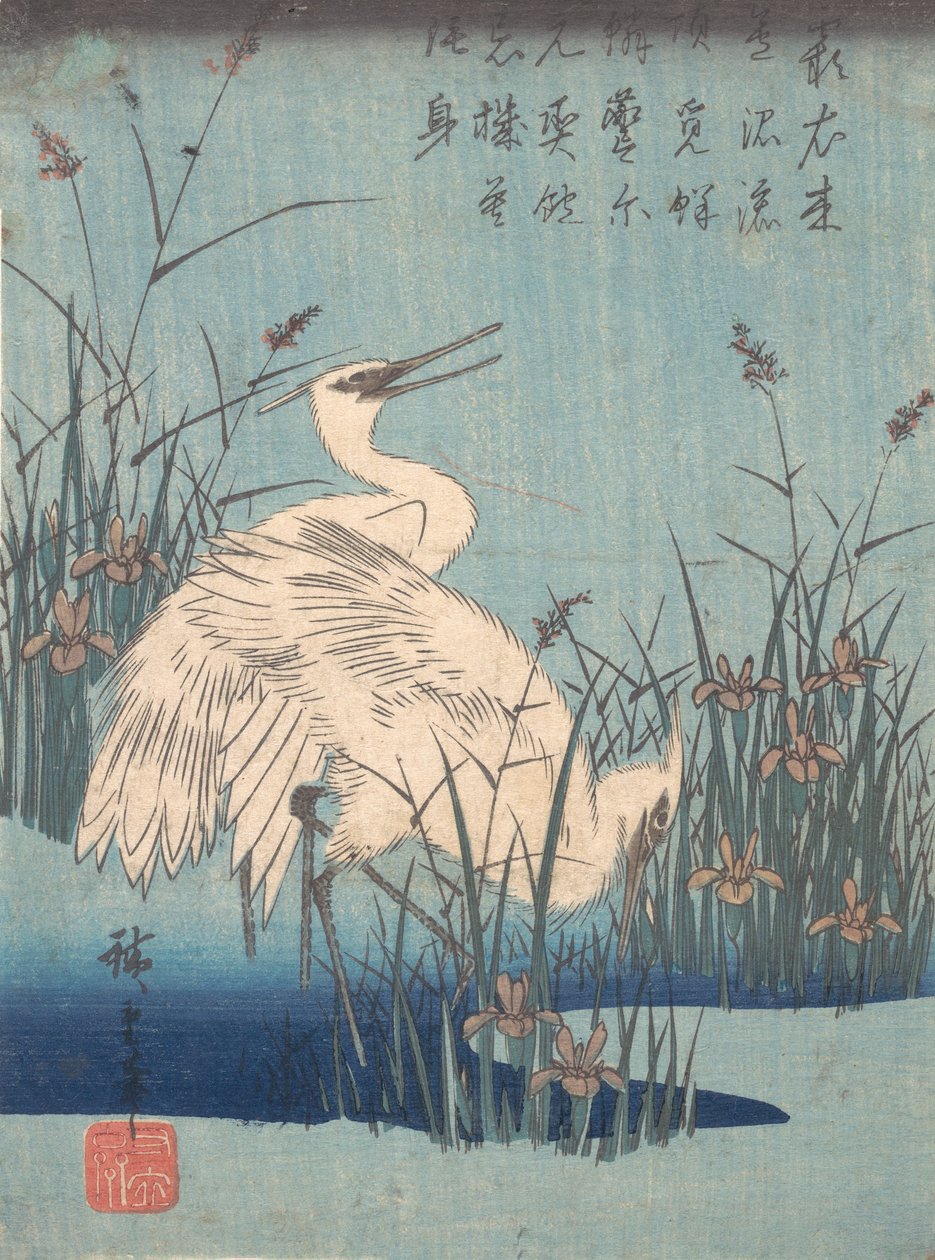 Häger i Iris och gräs, ca. 1837., ca. 1837. av Ando Hiroshige