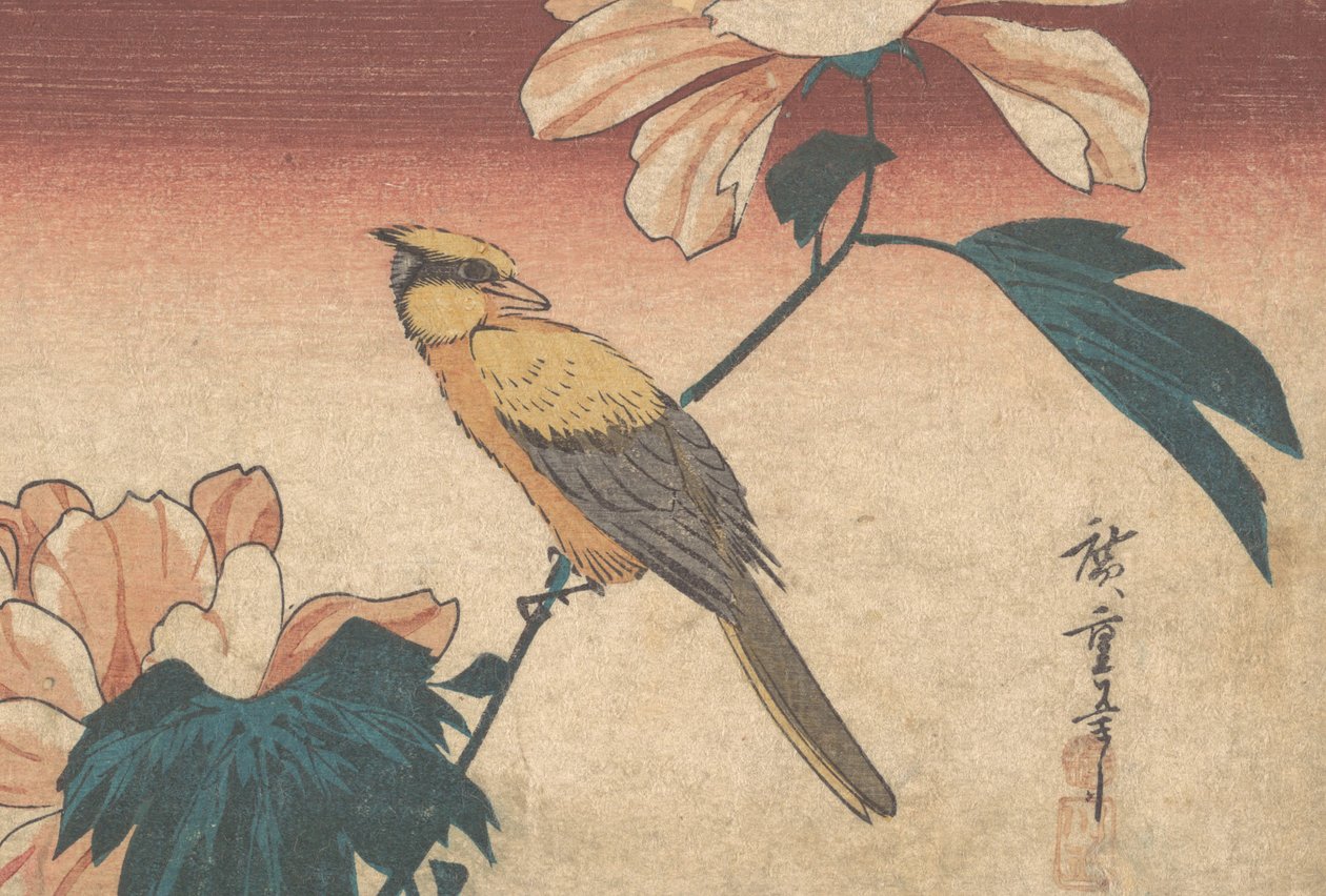 Hibiscus Mutabilis och Jay, ca. 1840., ca. 1840 av Ando Hiroshige