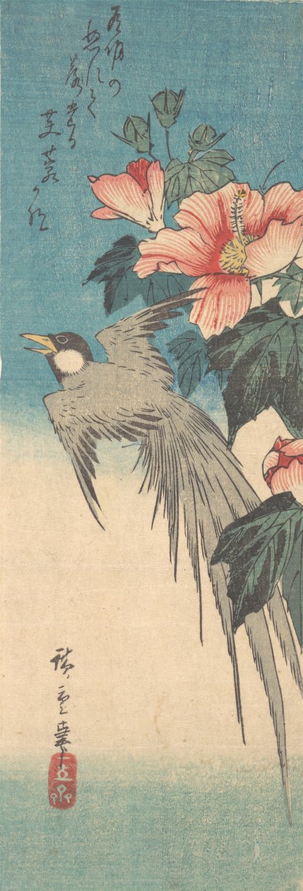 Hibiscus Mutabilis och långsvansfågel, ca. 1842, ca. 1842. av Ando Hiroshige