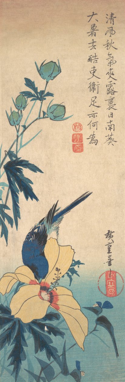 Hibiscus och Bluebird, ca. 1832., ca. 1832. av Ando Hiroshige