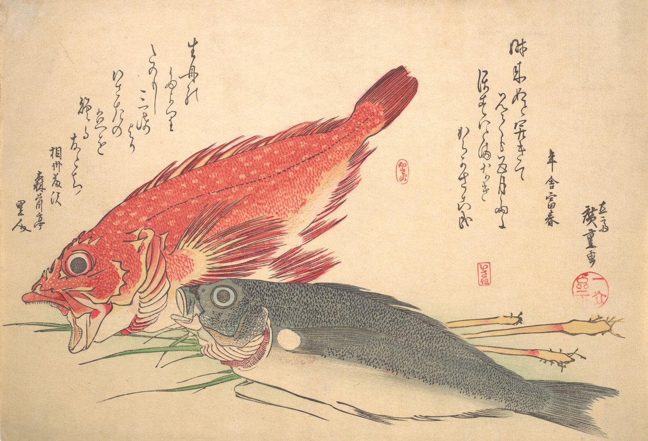 Isaki och Kasago Fish, från serien Uozukushi Every Variety of Fish, 1830-talet, 1830-talet. av Ando Hiroshige