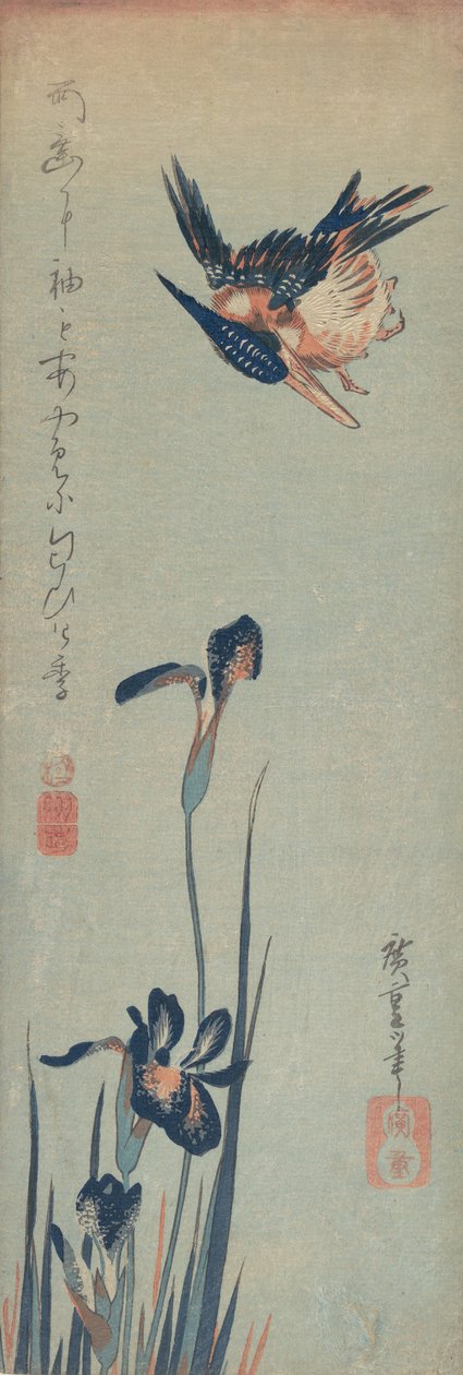 Kungsfiskare och iris, 1832-34., 1832-34. av Ando Hiroshige