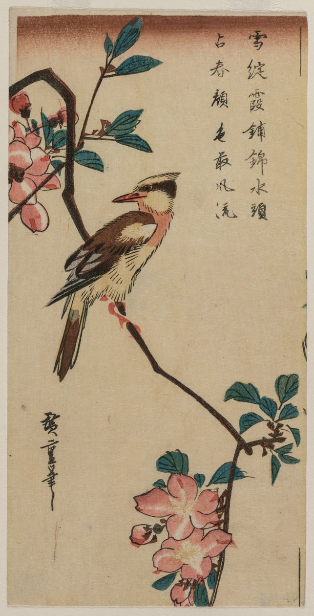 Koreansk näktergal på Cherry Branch, tidigt eller mitten av 1830-talet. av Ando Hiroshige