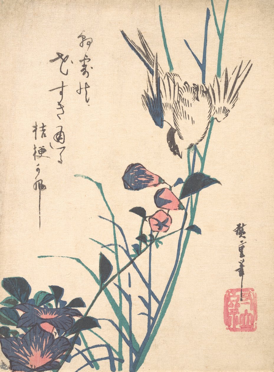 Storblommig plattnäbb och sparv, ca. 1833., ca. 1833. av Ando Hiroshige