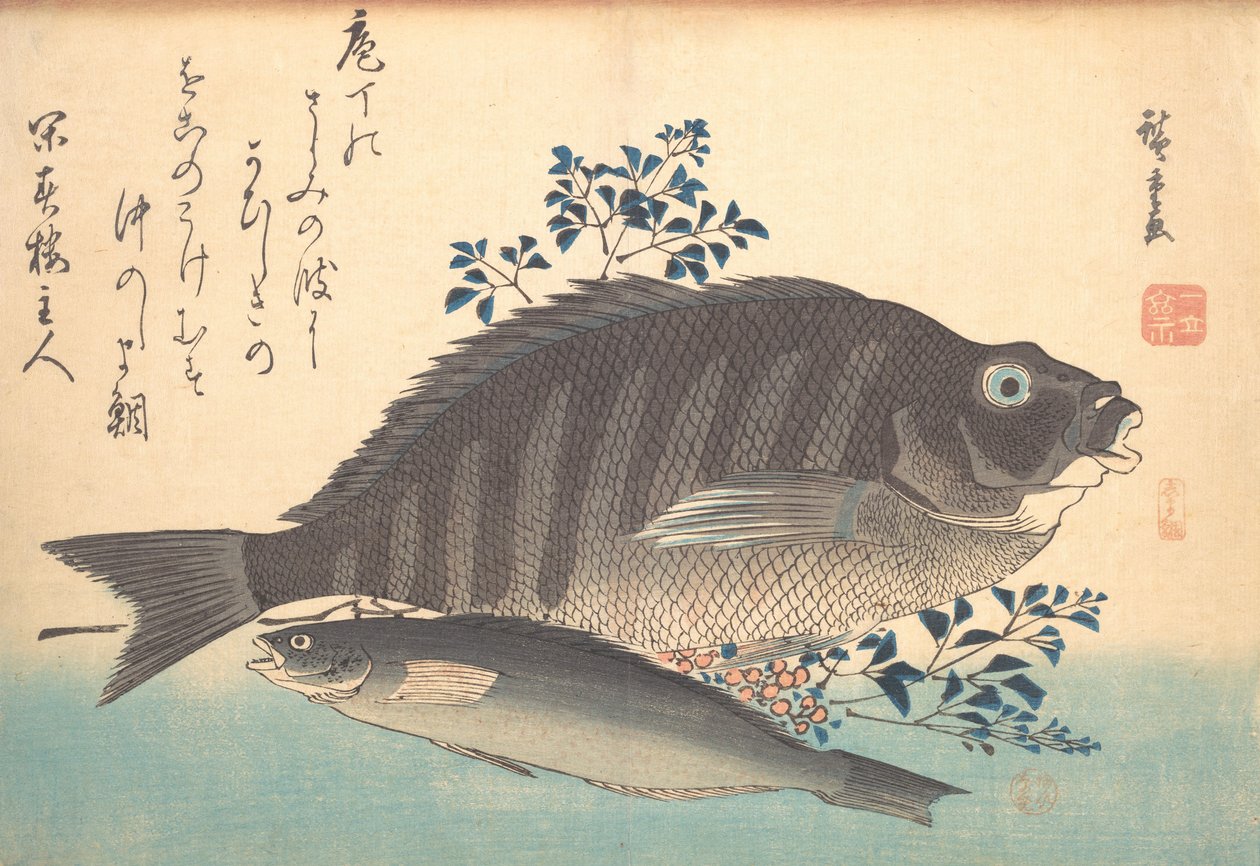 Shimadai och Ainame Fish, från serien Uozukushi Every Variety of Fish, 1840-talet, 1840-talet. av Ando Hiroshige