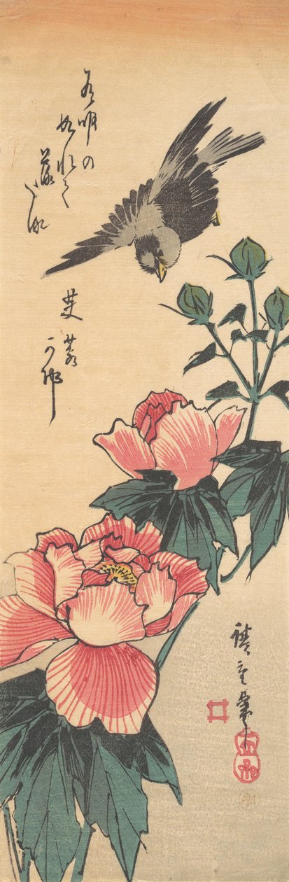 Sparv och Hibiscus, ca. 1834., ca. 1834. av Ando Hiroshige