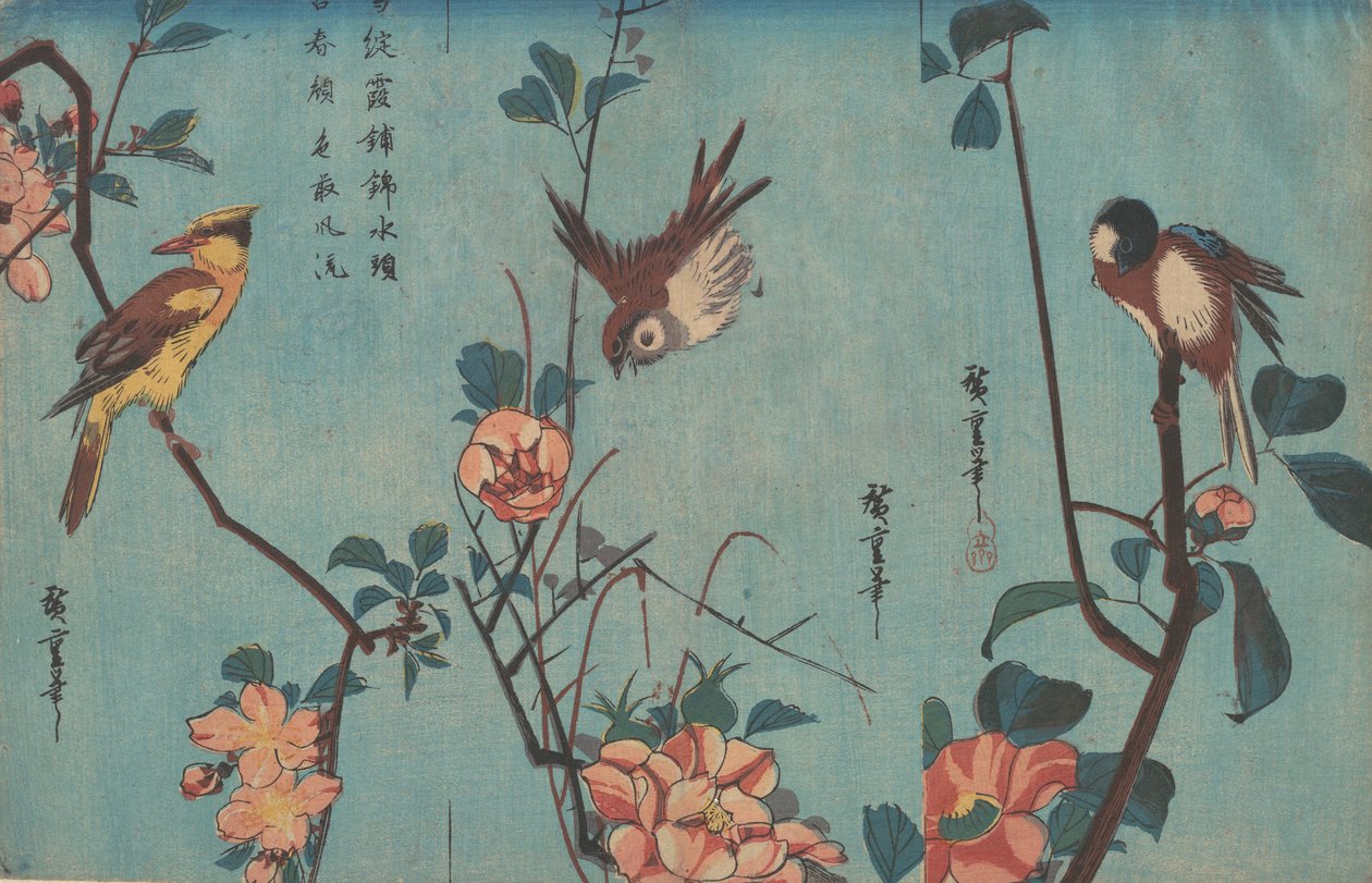Titmouse och Camellias till höger, Sparrow och Wild Roses i mitten och Black-naped Oriol..., ca 1833. av Ando Hiroshige