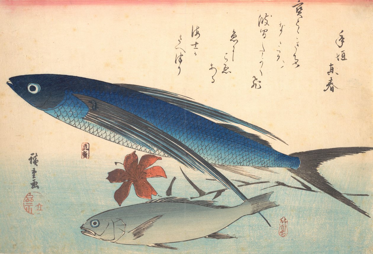 Tobiuo och Ishimochi Fish, från serien Uozukushi Every Variety of Fish, 1840-talet, 1840-talet. av Ando Hiroshige