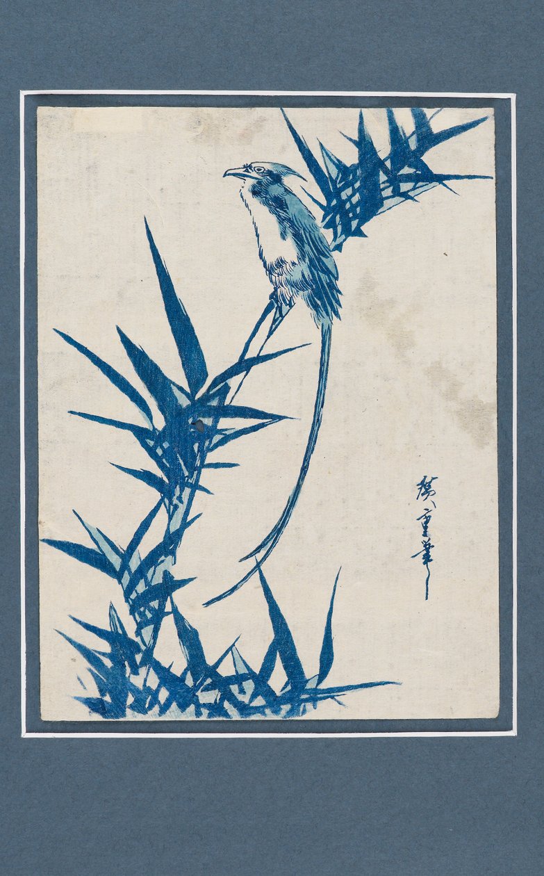 Ukiyo-e-tryck - Fågel på en gren i blått, c1820-1858 av Ando Hiroshige
