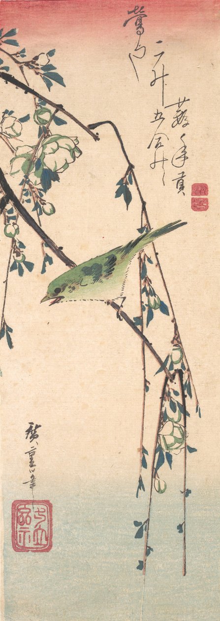 Sångare på plommongren, ca. 1835., ca. 1835. av Ando Hiroshige