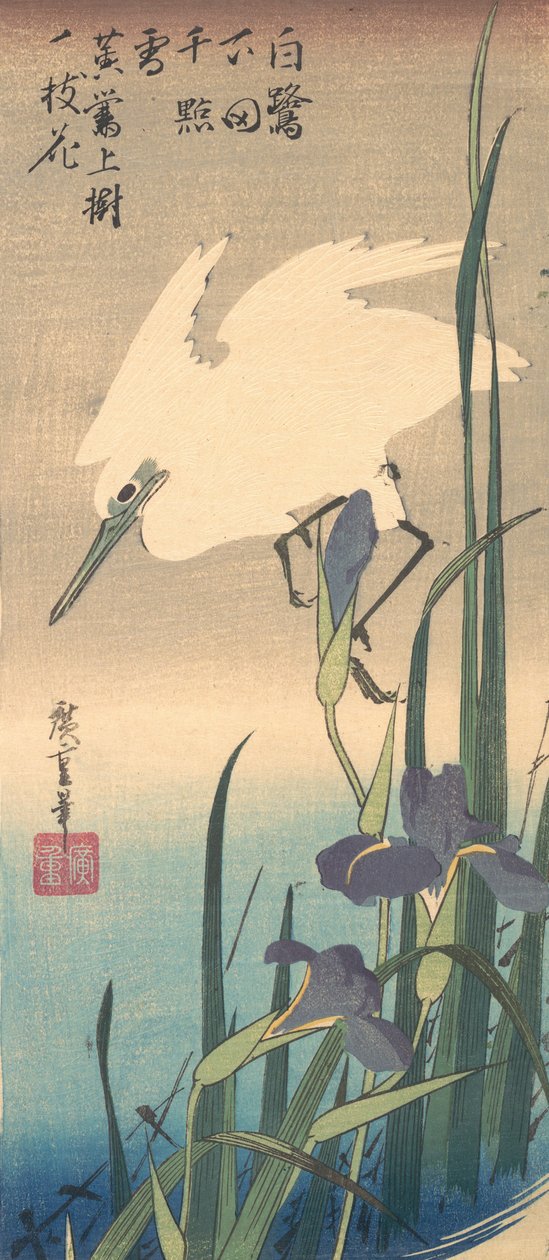 White Heron och Iris. av Ando Hiroshige